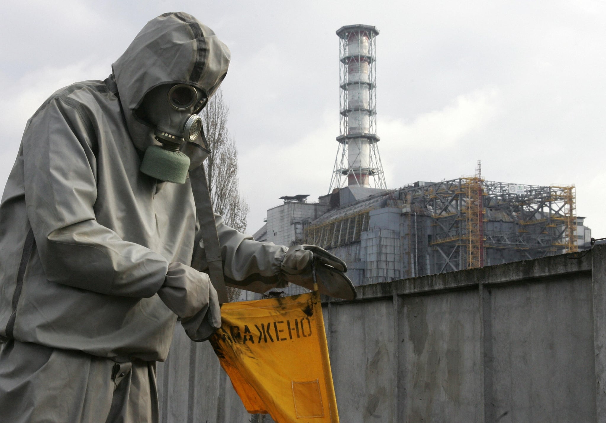 Saintis Mengkaji Penggunaan Fungus Dari Chernobyl Sebagai Pelindung Radiasi Di Angkasa Lepas