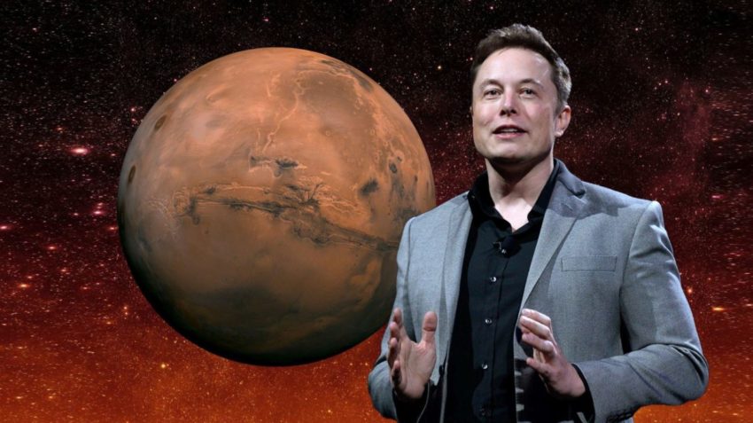 Elon Musk