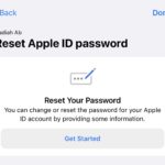 reset password apple id