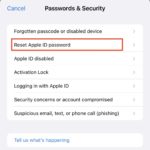 reset password apple id