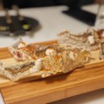 honor magic5 pro potret