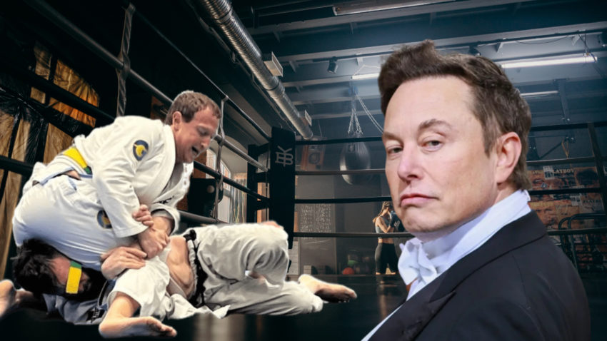 musk vs zuckerberg