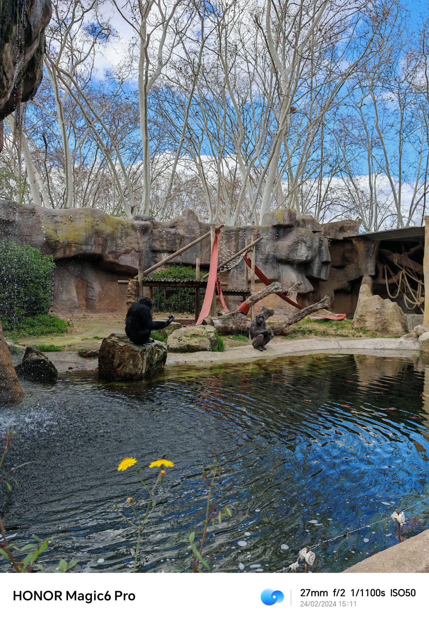 Kami Uji Kamera HONOR Magic6 Pro, Ini Hasilnya