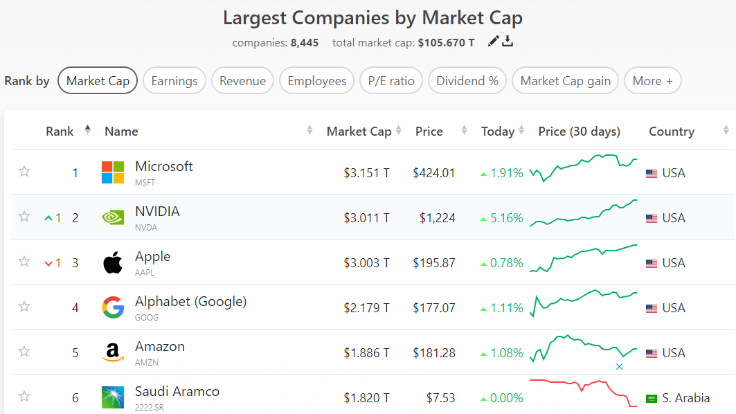 largest company_