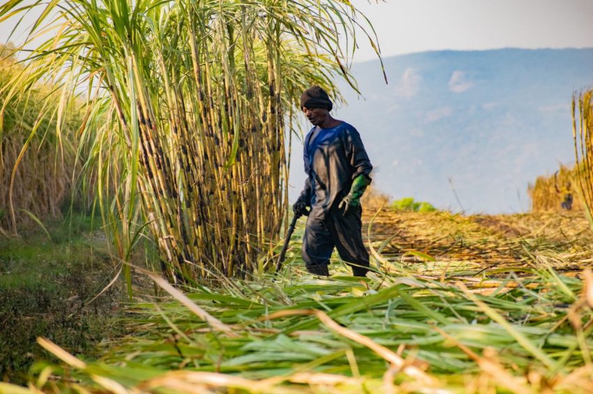 Indonesia Tingkatkan Pengeluaran Bahan Api Bio Daripada Tebu